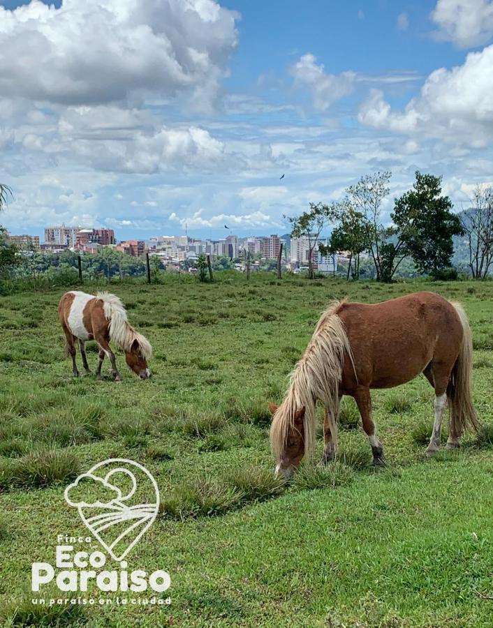 Finca Ecoparaiso Ibagué Zewnętrze zdjęcie