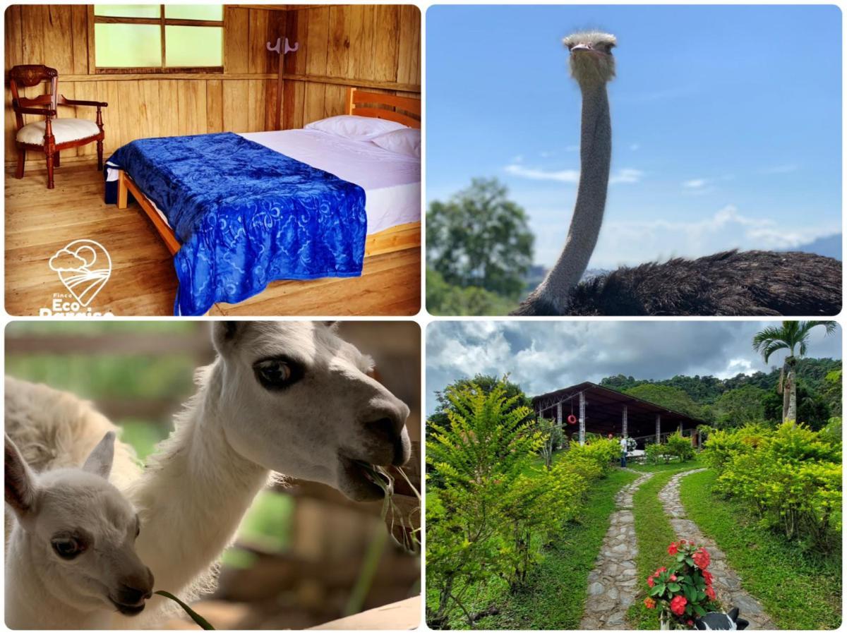 Finca Ecoparaiso Ibagué Zewnętrze zdjęcie